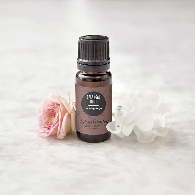 Edens Garden Galangal Root Essential Oil- 100% Pure Premium Grade, Undiluted, Natural, Therapeutic, Aromatherapy, The Best for Diffuser, Candle, Laundry, Humidifiers 30 ml (1 fl oz)