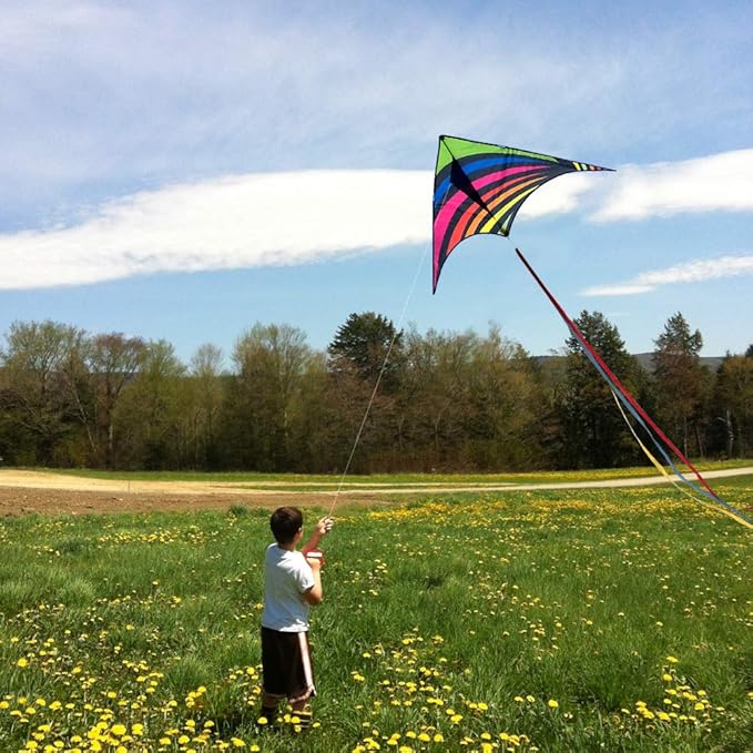 Mint's Colorful Life Delta Kite for Kids & Adults, Extremely Easy to Fly Kite for Beach Trip, Best Kites for Beginners, 300ft String Handle Included