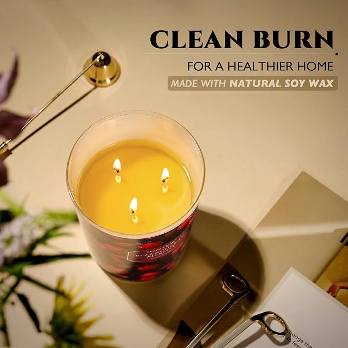 HomeLights Soy Wax Candles for Home Scented, 3-Wick Candles in Blackcherry Merlot Scented, Aromatherapy Candles Gift for Parties, Relaxing, Eclectic Mixed Styles, 34oz
