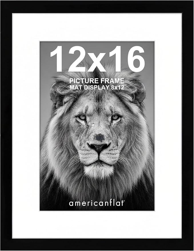 Americanflat 12x16 Picture Frame with Shatter-Resistant Glass - Use as 8x12 Frame with Mat or Display 12x16 Photo Without Mat - Signature Collection - Picture Frames for Wall Display - Black | Shatter-resistant glass, hangs vertical or horizontal, sawt...