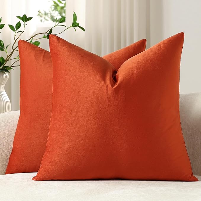 Throw Pillow Covers 22x22 Burnt Orange: Pack of 2 Cozy Soft Velvet Square Modern Luxury Decorative Throw Pillow Cases for Sofa Couch Living Room Bed Home Decor