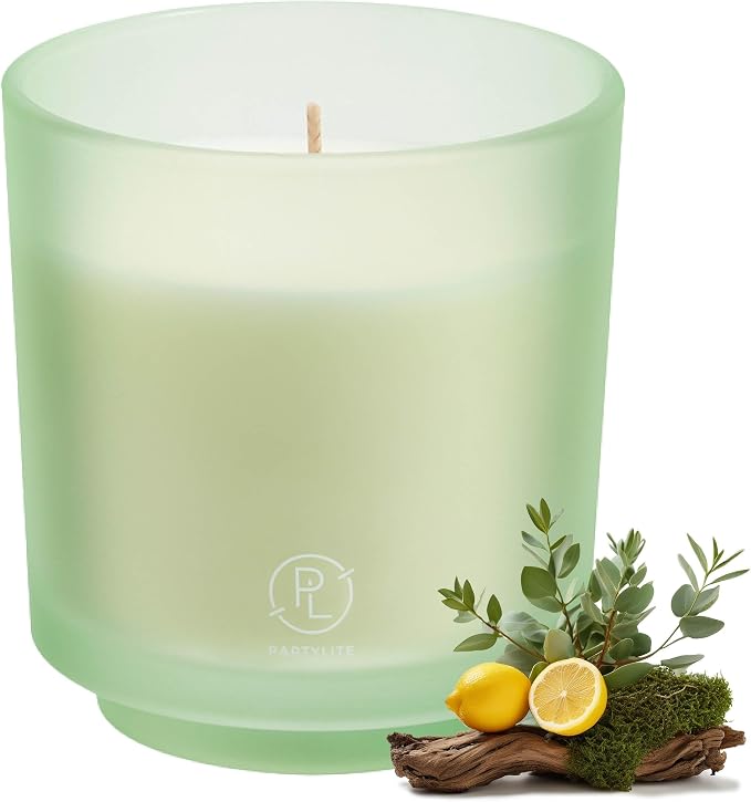PartyLite Seagrass Eucalyptus Scented Jar Candle + (1) Refill - Notes of Eucalyptus, Lemon, Seagrass & Driftwood, 10oz 1-Wick Aromatherapy Candle