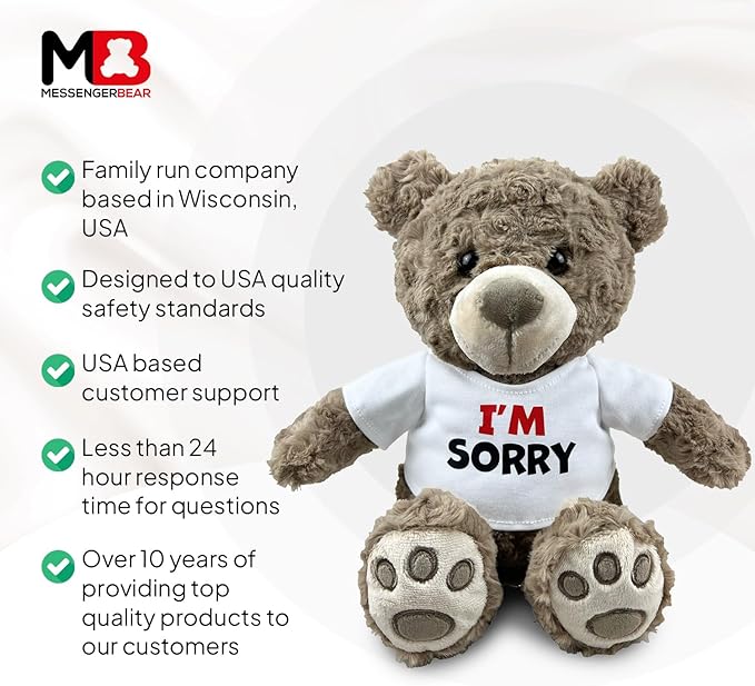 I’m Sorry Teddy Bear 10” Sitting | I Love You Im Sorry Plushie | Im Sorry Gifts for Her Stuffed Animal
