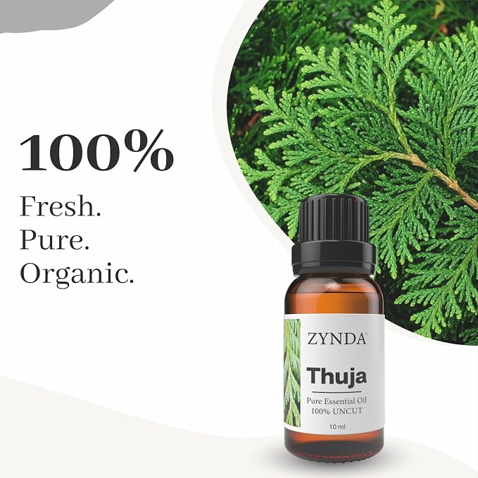 Thuja Essential Oil – 100% Pure & Natural Aromatherapy Essential Oil – Organic Thuja Oil for Skin & Body – Therapeutic Grade, Uncut, Steam Distilled Pure Essential Oils – 10ml