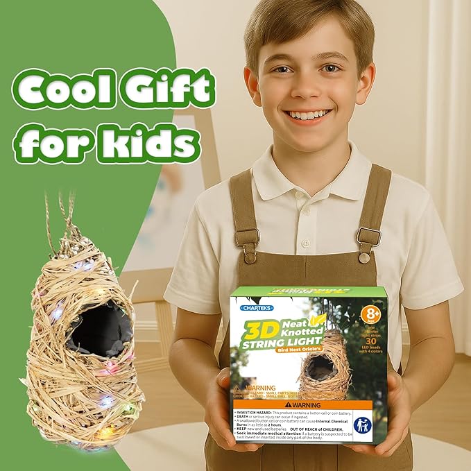 CHARTEKS Bird Nest Craft Kit with LED String Lights - DIY Nature Arts and Crafts STEM Project for Kids & Adults, Creative Home Decor Gift for Boys Girls Ages 8-12