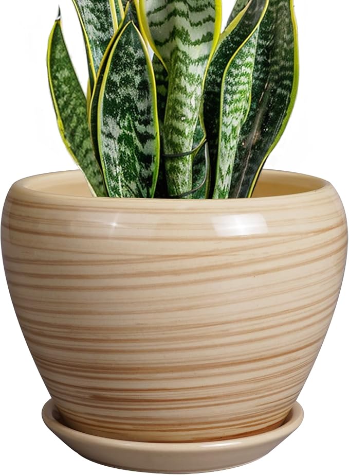 Ceramicfor Planter 8 Inch - Indoor/Outdoor Ceramic Plant Pot With Drainage Hole and Saucer, Round Modern Flower Planter for Succulents, House, Patio - Yellow
