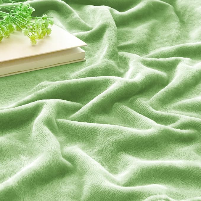 BEDELITE Fleece Blanket Soft Plush Queen Bed Blanket Grass Green 90"x90" | Ultra Soft Fleece, Plush Microfiber, Lightweight Warmth, All Season Comfort, Fade Resistant, Machine Washable,Perfect for Bed