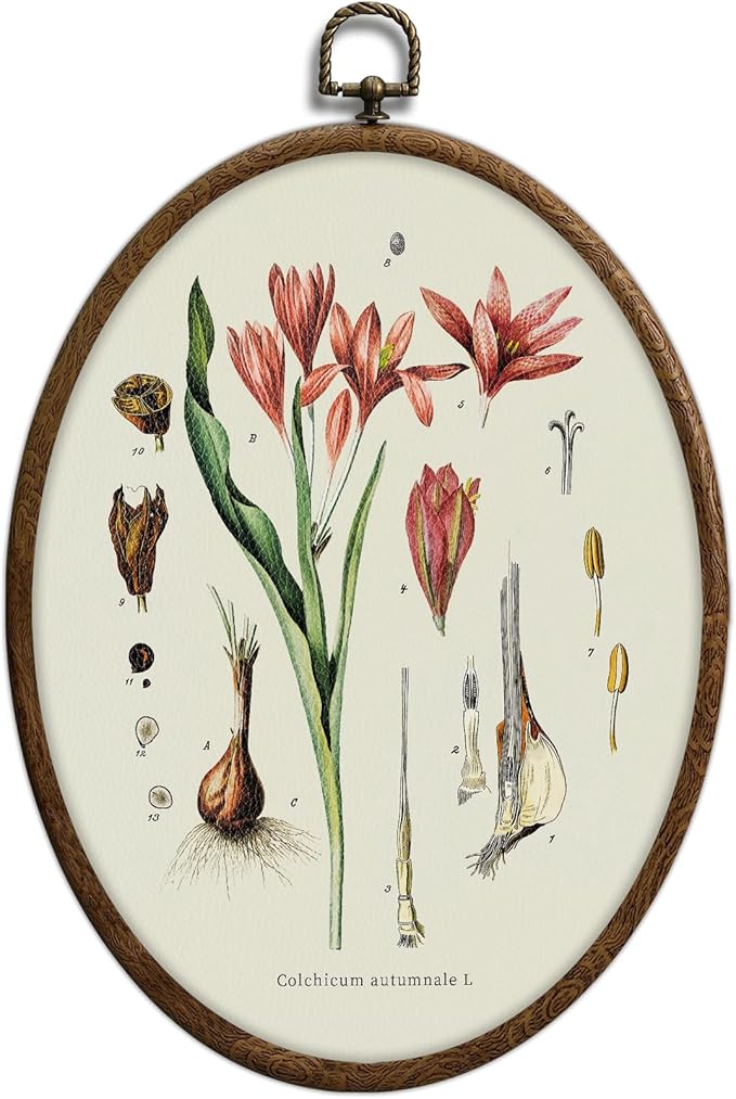 Vintage Boho Floral Oval Wall Art, Vintage Pink Botanical Oval Framed Wall Art, Waterproof Cottage Core Home Decor for Western Farmhouse Bedroom Living Room, Home Retro Decor Products, 08