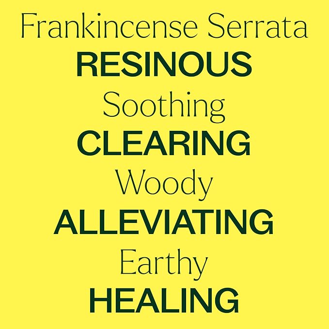 Plant Therapy Frankincense Serrata Essential Oils 100% Pure, Undiluted, Natural Aromatherapy, Frankincense Oil for Diffuser, Skin, Massage, & Joint Health, Therapeutic Grade 10 mL (1/3 oz)