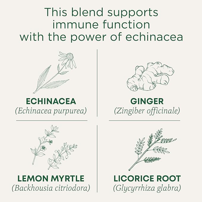 Traditional Medicinals Tea, Organic Immune Zoom Lemon Ginger - Supports Immune Function - Kosher, Non-GMO, Caffeine-Free, Compostable - 96 Tea Bags (6 Pack)