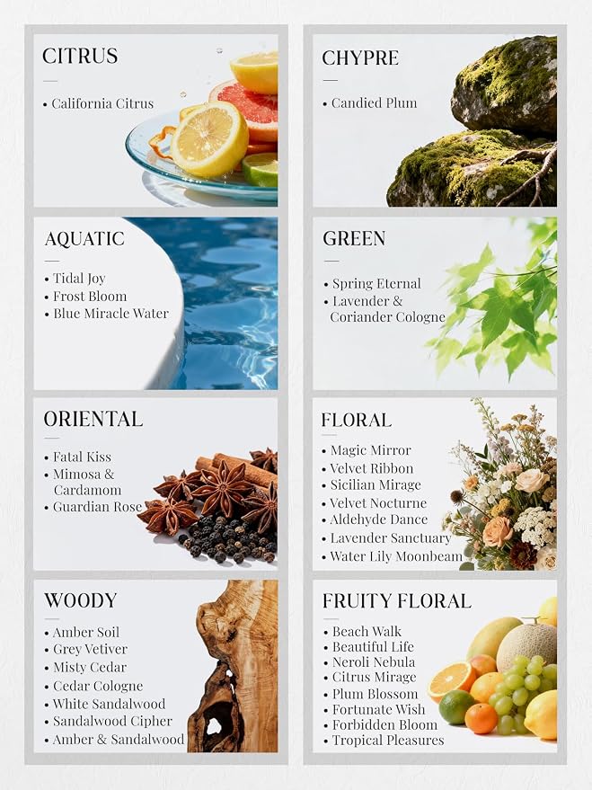 HIQILI Discovery Fragrance Oil Gift Set for Diffuser, DIY Perfume, Candles | 32 Scents, Suitable for Humidifier, Soap Making, Laundry Dryer Balls, Long Lasting Home Aroma, Perfume Oils for Women