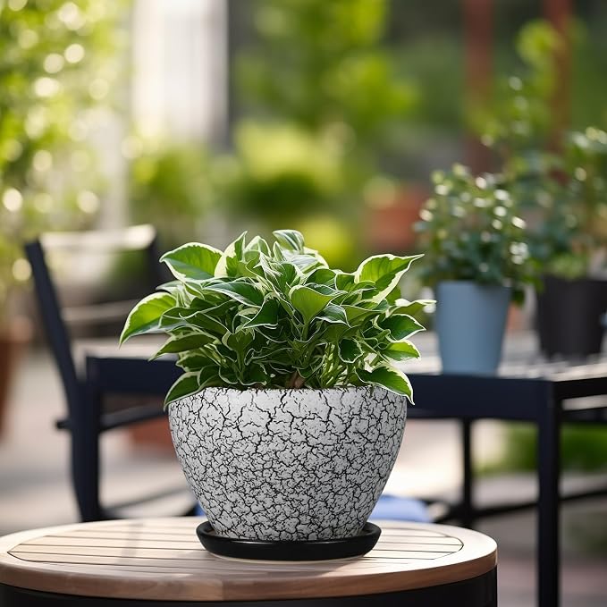 Ceramicfor Ceramic Planter Pot - 6 Inch Plant Pot with Drainage Hole and Saucer, Succulent Pot Glaze Round for Indoor Outdoor Plants, White and Black