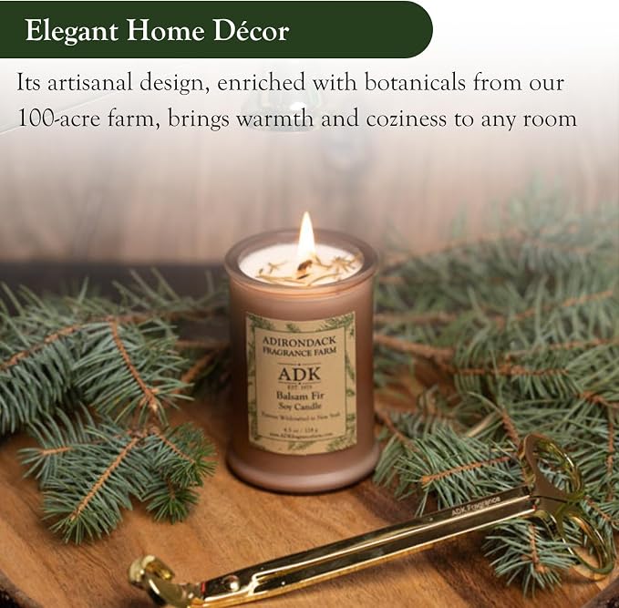 Adirondack Fragrance & Flavor Farm Balsam & Fir Scented Candle 10 Oz | Proudly Poured in The USA, Natural Aromatherapy Wax for Relaxation, Home Décor, Kitchen, Gift and Living Spaces
