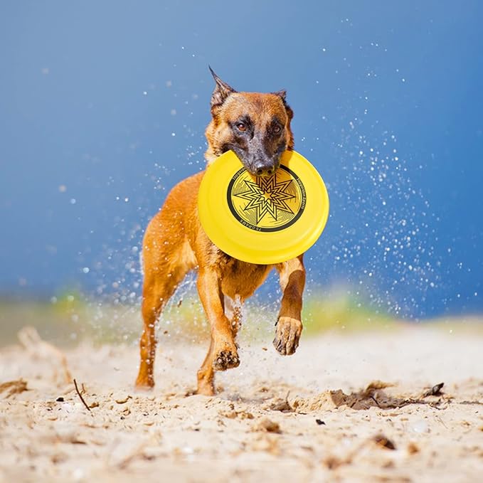 Eastgoing Outdoor Flying Disc 175 Gram, 10.75 Inch Sport Disc ，Loads of Colors Available, Suitable for Competitions, Team Flying Disc for Beach, Park, Pet, Camping and More,