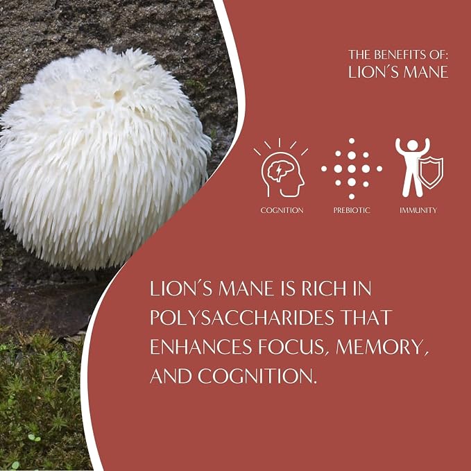 Teeccino Lion’s Mane Rhodiola Rose Mushroom Adaptogen Herbal Tea - Caffeine-Free, 3x More Herbs than Regular Tea Bags, Lightly Sweet from Dates & Figs, Prebiotic - 25 Tea Bags