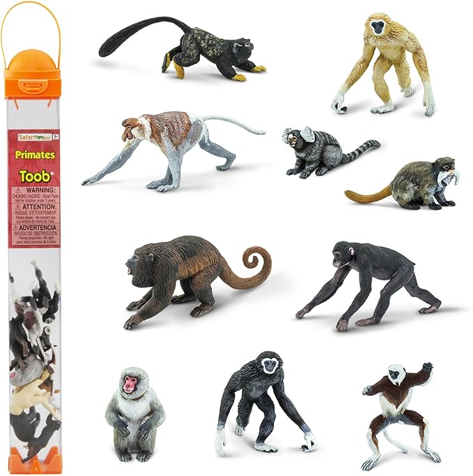 Safari Ltd. Primates TOOB - Figurines of Various Monkeys - Fun Educational Play Toy for Boys, Girls & Kids Ages 3+