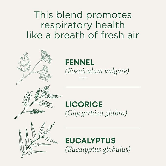 Traditional Medicinals Tea, Breathe Easy with Eucalyptus Mint, Promotes Respiratory Health, Kosher, Non-GMO, Caffeine-Free, Compostable - 16 Tea Bags (Pack of 1)