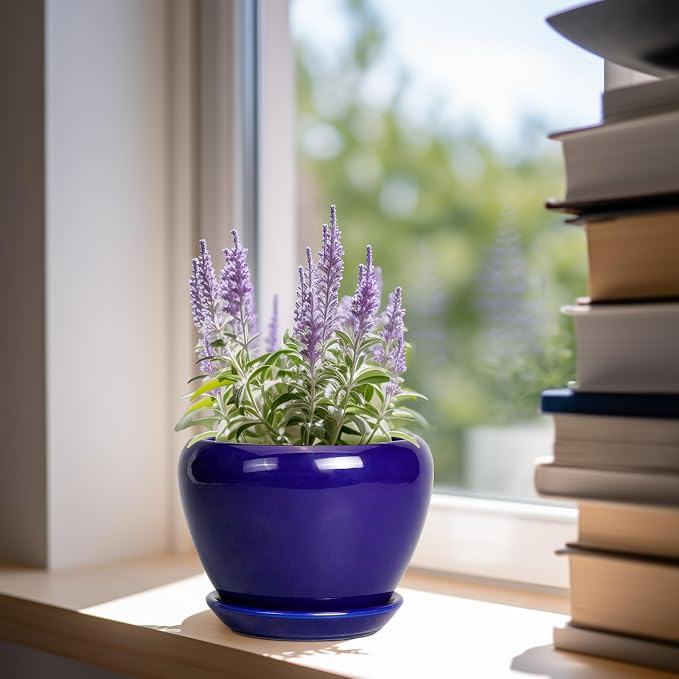 Ceramicfor 6 Inch Plant Pot - Ceramic Pots for Plants Succulent Pot with Drainage Hole and Saucer Round Planter Outdoor Flower Pot for Herb Snake Plants Blue