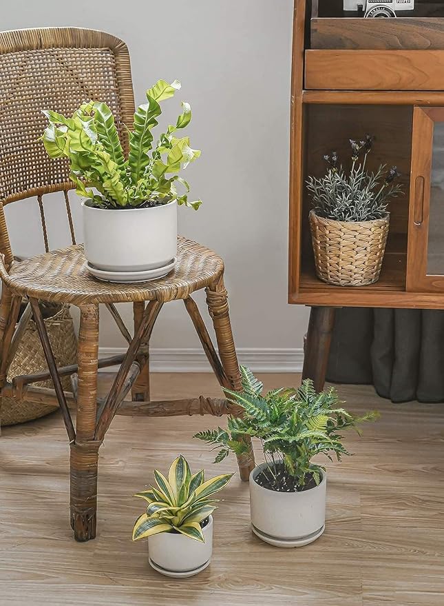 LE TAUCI Ceramic Pots for Plants, 4.3+5.3+6.8 Inch Plant Pots, Indoor Planters with Drainage Hole and Saucer for Succulents, Herbs and Flowers, Set of 3, Satin, White