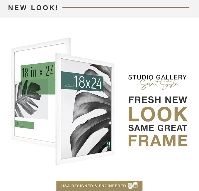 MCS Studio Gallery 18x24 Poster Frame White Woodgrain Engineered Wood, Vertical & Horizontal Wall Hanging Large Picture Frame for Photos, Posters & Art Prints (2-Pack)