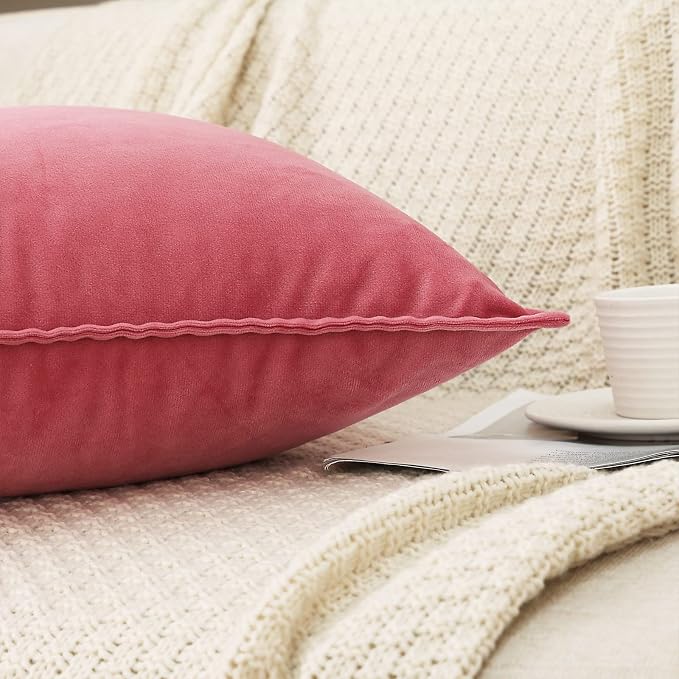 JIAHANNHA Velvet Pink Throw Pillow Covers 12”x20”Pack of 2 Soft Decorative | Square Cushion Covers for Couch Sofa Bed Livingroom Car Home Decor,30x50Cm