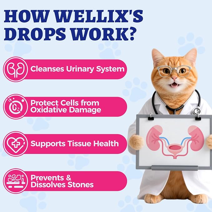 4oz Wellix Natural Cat & Dog UTI Treatment Drops,Cat & Dog Urinary Tract Infection Treatment - Cranberry & D-Mannose for Dogs & Cats - Kidney Health Supplement