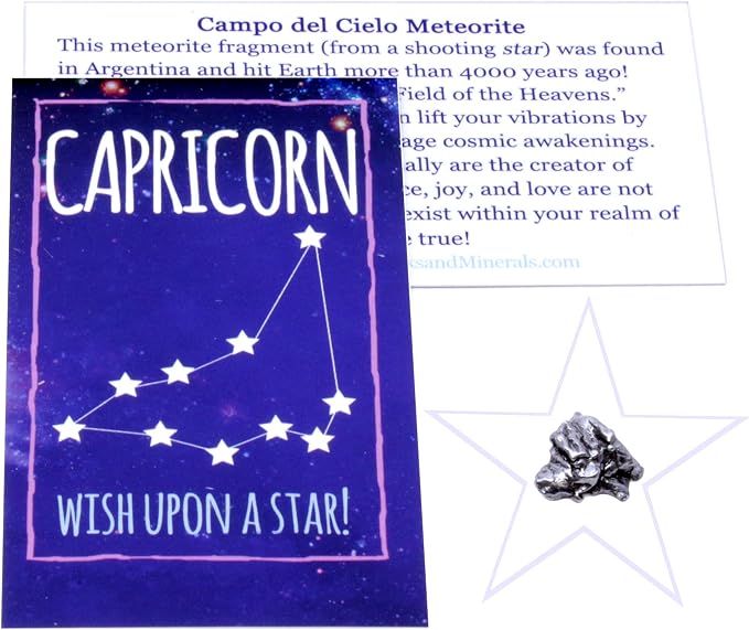 DANCING BEAR Capricorn Zodiac Healing Crystals Gift Set (14 Pc): 9 Stones, 18K Gold-plated Constellation Necklace, Meteorite, Succulent Candle, Palo Santo Smudge stick, and Info Guide, Made in the USA
