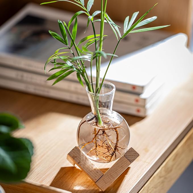 Propagation Stations, Propagation vases with Wooden Stand, Small Tabletop Glass Bulb Vases for Hydroponics Plant Propagation Station Home Office Decoration, Gift for Women Plant Lovers (4)