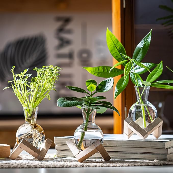 Propagation Stations, Propagation vases with Wooden Stand, Small Tabletop Glass Bulb Vases for Hydroponics Plant Propagation Station Home Office Decoration, Gift for Women Plant Lovers (4)