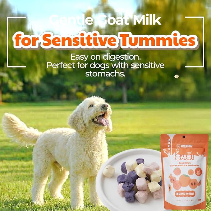Freeze-Dried Goat Milk Dog Treats, Persimmon, 1.76 oz