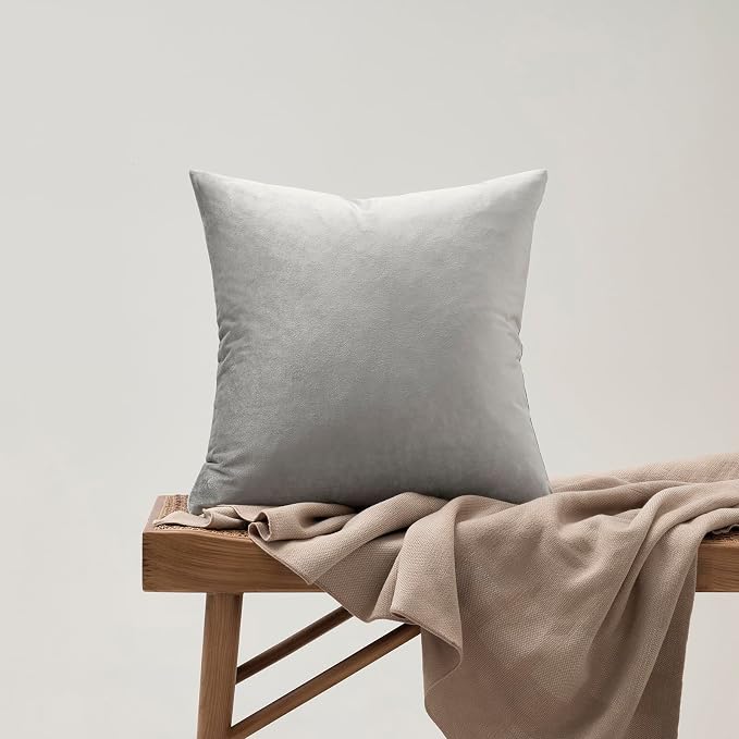 GIGIZAZA Silver Grey Velvet Throw Pillow Covers 22x22 Pack of 2 | Decorative Pillows for Couch Sofa,280gsm Soft Textured Fabric,Modern Square Pillowcases,Luxury Cushion Covers