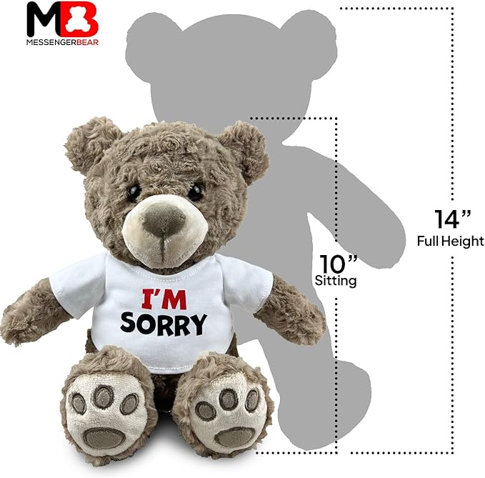 I’m Sorry Teddy Bear 10” Sitting | I Love You Im Sorry Plushie | Im Sorry Gifts for Her Stuffed Animal