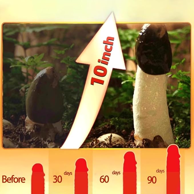 Male Enhancement Grow Oil, Big Size Men's Re-Vitalize Cream, 10ML