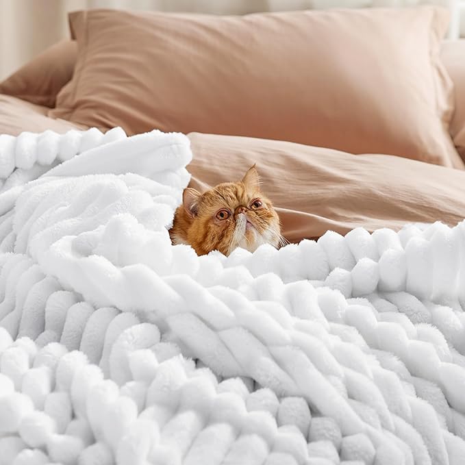 Bedsure GentleSoft Twin Fleece Blanket for Couch - Cozy Soft Blankets for Women, Cute Small Throws for Girls, Bright White, 60x80 Inches