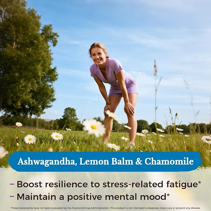 Vitalitown Stress Support Supplement, Calming Blend of Ashwagandha, GABA, L-Theanine, Lemon Balm, Natural Cortisol Response, Ease Stress & Tension, Promote Relaxation & Mental Focus, 60 Vegan Caps