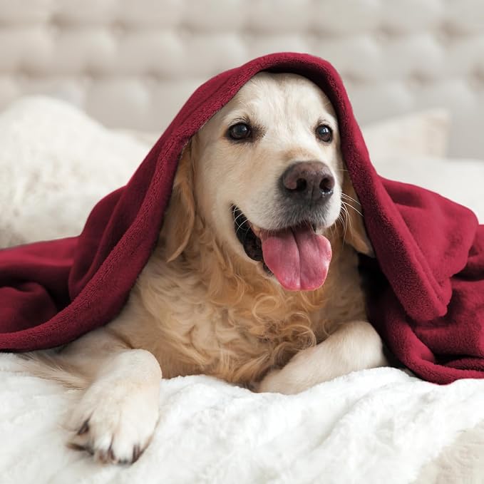 BEDELITE Fleece Blanket Soft Plush Throw for Couch Burgundy 50"x60" | Ultra Soft Fleece, Plush Microfiber, Lightweight Warmth, All Season Comfort, Fade Resistant, Machine Washable, Couch Sofa Bed