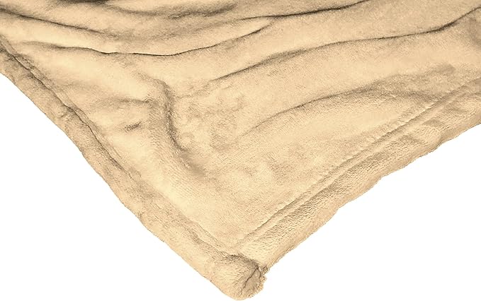 Northwest Disney 100 Silk Touch Throw Blanket, 50" x 60", Celebration Belle