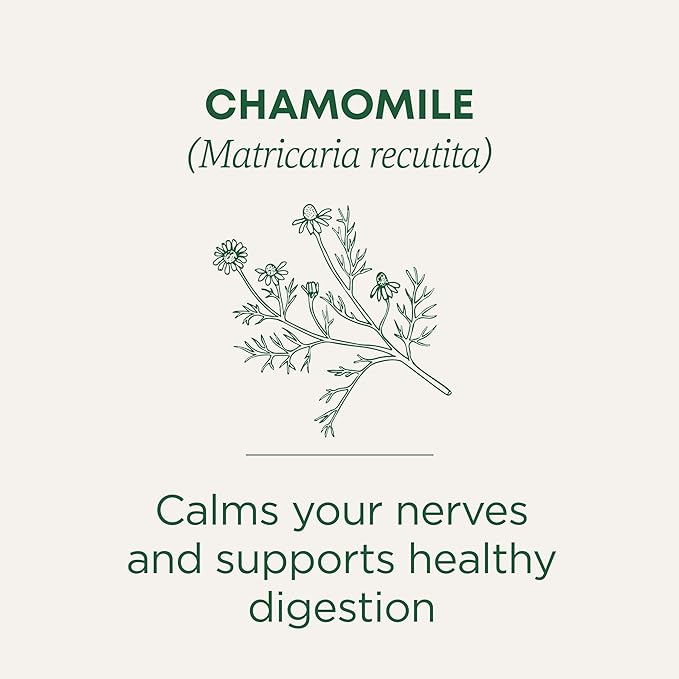 Traditional Medicinals Organic, Chamomile Tea - Supports Stress Relief and Relaxation - Kosher, Non-GMO, Caffeine-Free, Compostable - 16 Tea Bags