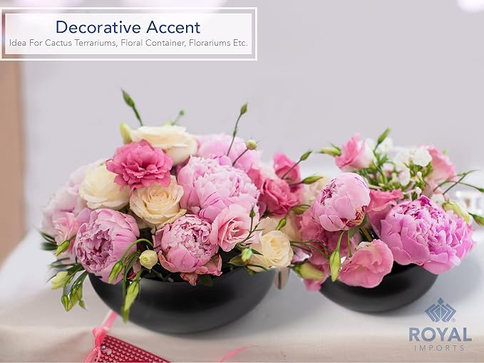 Royal Imports Flower Ceramic Vase Bowl Terrarium Planter Set of 2 - Black | Bowl Terrarium Succulent Planter, Air Plant Display, Decorative Centerpiece Floral Container for Home or Wedding