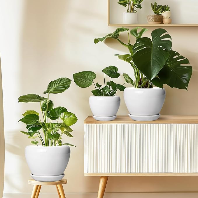 Ceramicfor Ceramic Pot for Plants - 6 Inch Plant Pot for Succulent Plants, Glaze Modern Round Planter with Drainage Hole and Saucer, Gifts for Plant Lovers, Home Office Patio Room Decor, White