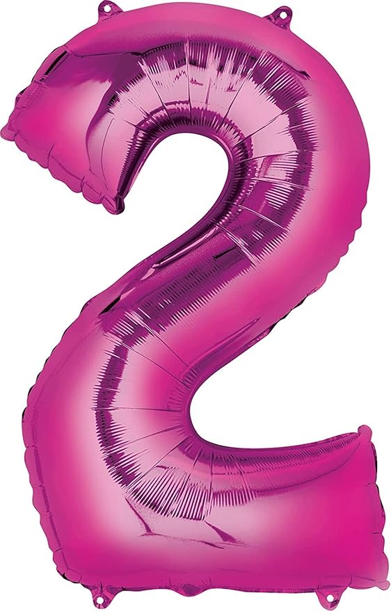 Skye and Everest 2nd Birthday Party Supplies Girl Paw Pups on Patrol Balloon Bouquet Decorations 12ct