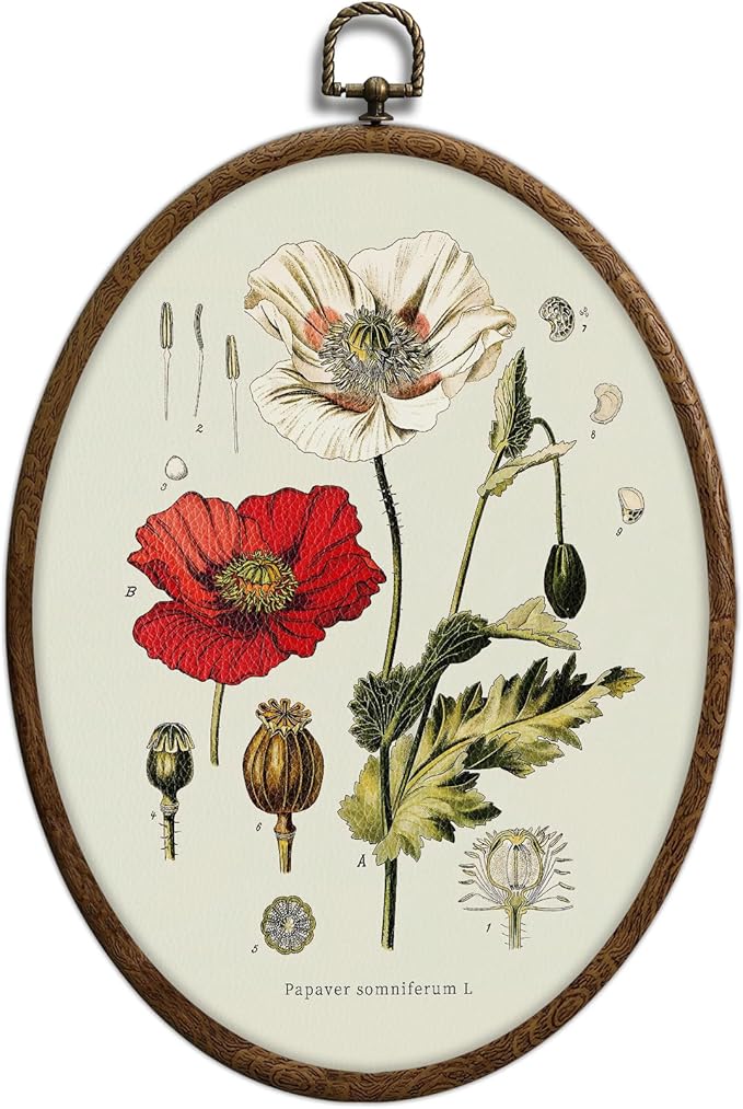 Vintage Boho Floral Oval Wall Art, Vintage Floral Botanical Oval Framed Wall Art, Waterproof Cottage Core Home Decor for Western Farmhouse Bedroom Living Room, Home Retro Decor Products, 07