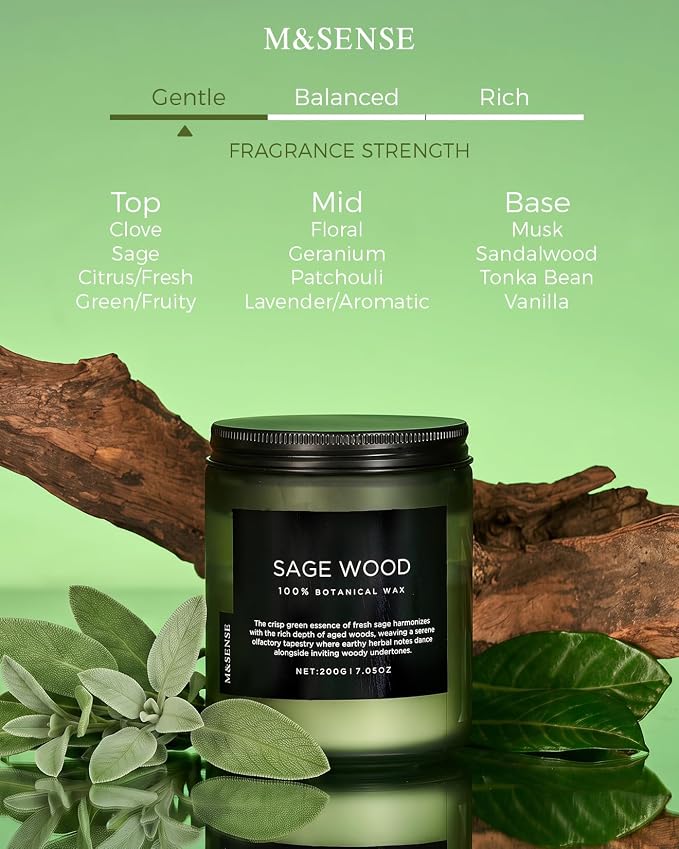 M&SENSE Sage Wood Scented Candles for Home, 7.05oz 50 Hours Clean Non Toxic All Natural Soy Wax, Fresh Smelling Candle for Relaxing & Stress Relief, Home Fragrance Gifts for Men Women