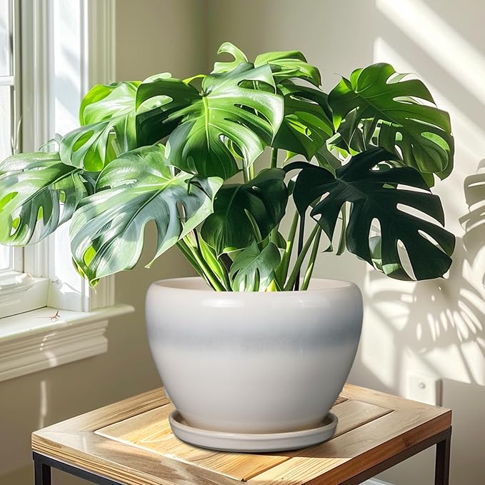 Ceramicfor 10 Inch Ceramic Planter Pot - Large Plant Pot with Drainage Hole and Saucer Round Flower Pot for Indoor Plants, White