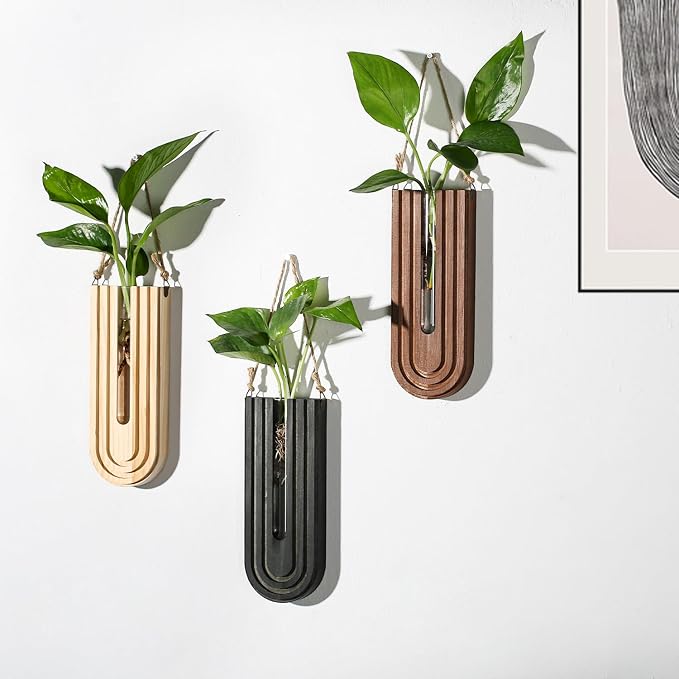 Dnnnii Indoor Wood Wall Planter Set of 3 for Plants - Boho Handmade Hanging Propagation Station with Curved Rainbow Design, Wall Mounted Vase for Flowers, Natural Home Decor Living Room Entryway