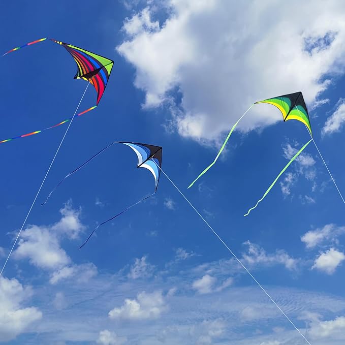 Mint's Colorful Life Delta Kite for Kids & Adults, Extremely Easy to Fly Kite for Beach Trip, Best Kites for Beginners, 300ft String Handle Included