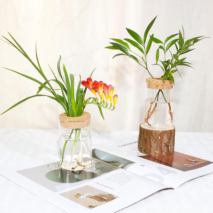 Separated Desktop Glass Flower Vases - Ideal Plants Propagation Stations for Living Room, Bedroom Decoration,Home Decor (4)