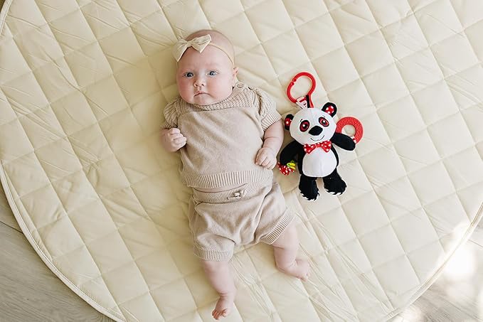 Panda Plush with High Contrast Colors, Cute Stuffed Animal Toys for Baby, Panda Toy, Teether with Clip, Multiple Textures, Taggies, Squeaky Body, Crinkle Fabric, Baby Gift, Teething Toy, 8" Tall