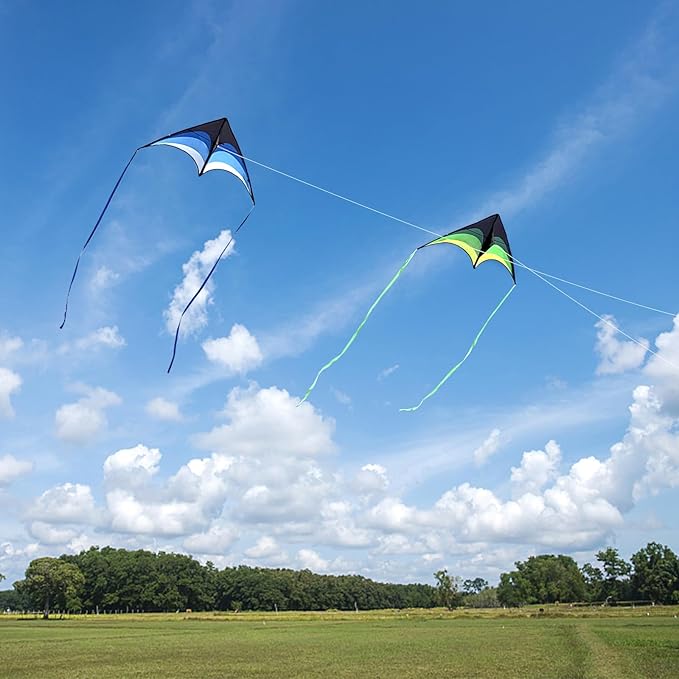 Mint's Colorful Life Delta Kite for Kids & Adults, Extremely Easy to Fly Kite for Beach Trip, Best Kites for Beginners, 300ft String Handle Included