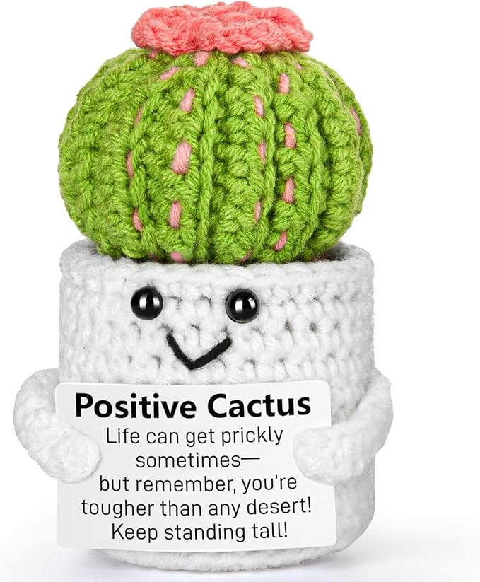 Emotional Support Crochet, Positive Crochet Cactus, Encouragement Gifts for Women Men Birthday Christmas Self Care Friends Coworkers Relaxation Gift Desk Home Fall Decor Inspirational Support